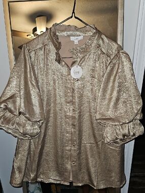 Cezanne Metallic Gold Ruffle Collar Women's Blouse